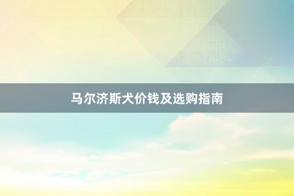 马尔济斯犬价钱及选购指南